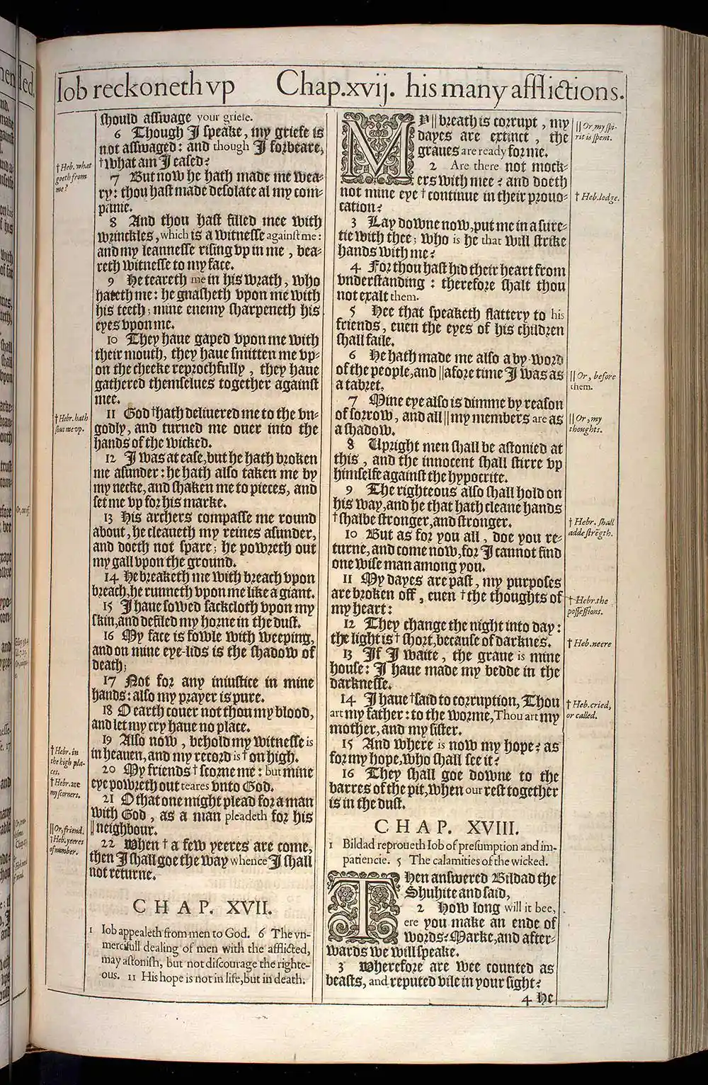 Job Chapter 18 Original 1611 KJV Bible Scan