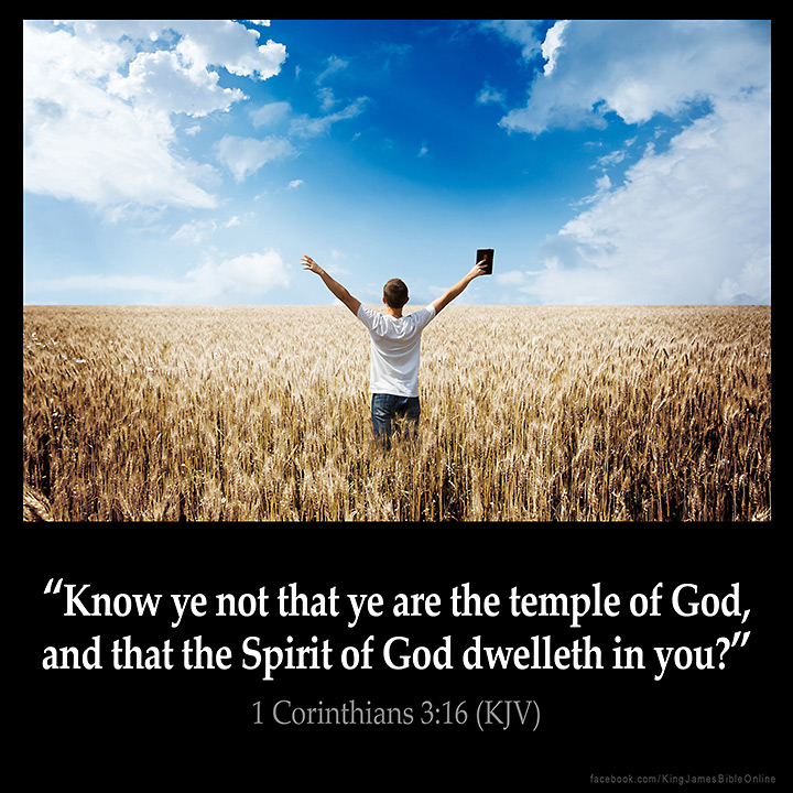 1 Corinthians 3:16 Inspirational Image