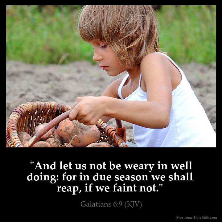 Galatians 6:9 Inspirational Image