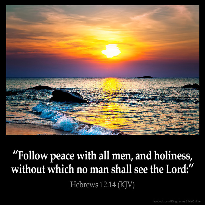 Hebrews 12:14 Inspirational Image