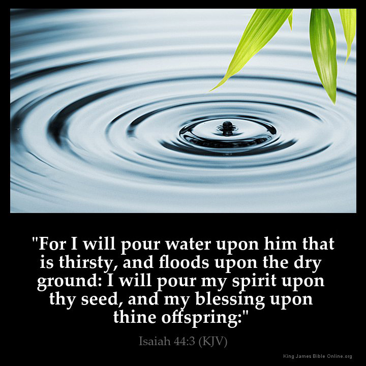 Isaiah 44:3 Inspirational Image