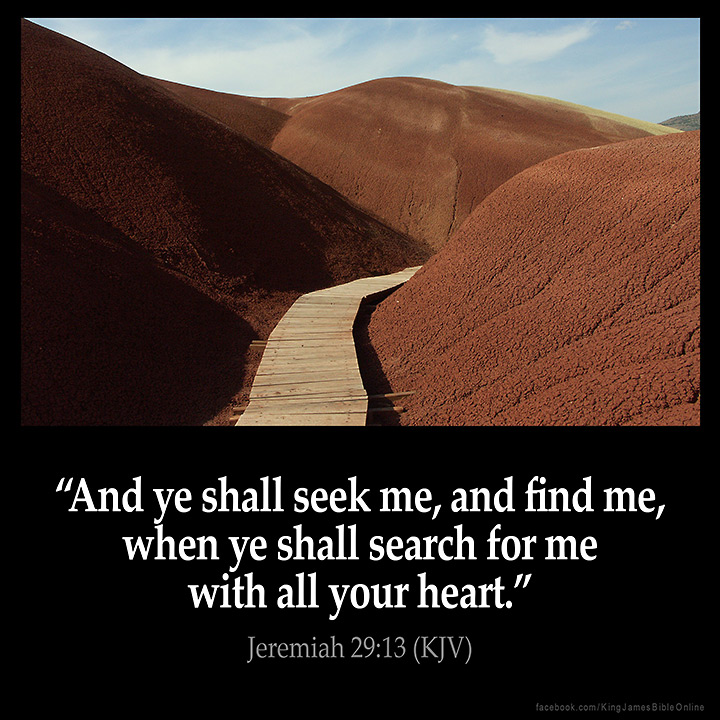 Jeremiah 29:13 Inspirational Image