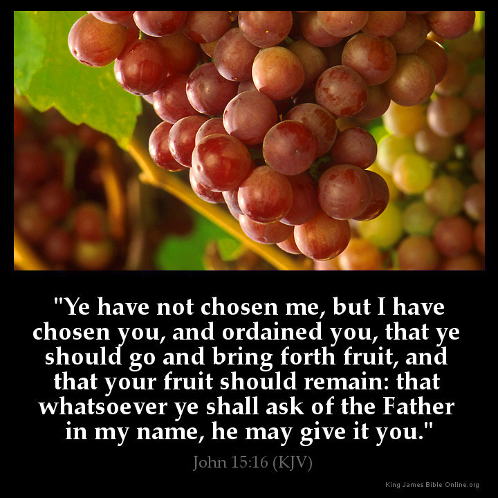 John 15:16 Inspirational Image