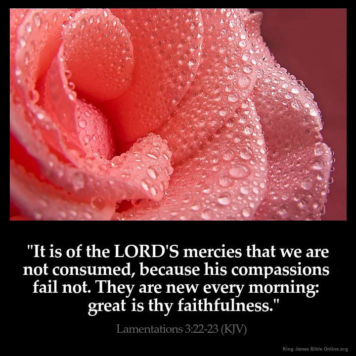 Lamentations 3:22 Inspirational Image