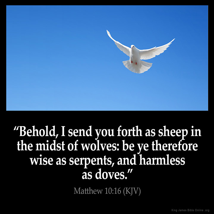 Matthew 10:16 Inspirational Image