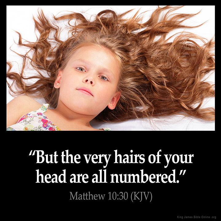 Matthew 10:30 Inspirational Image