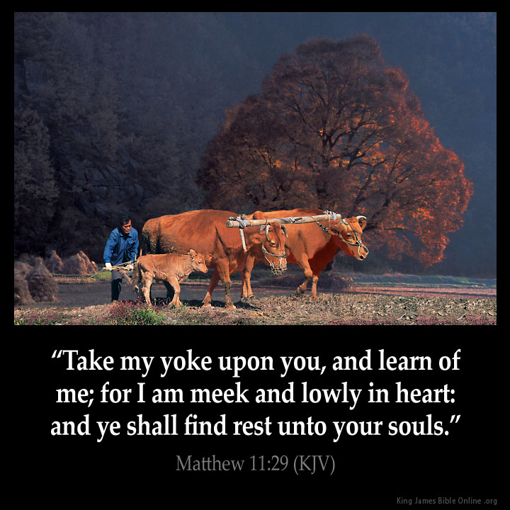 Matthew 11:29 Inspirational Image