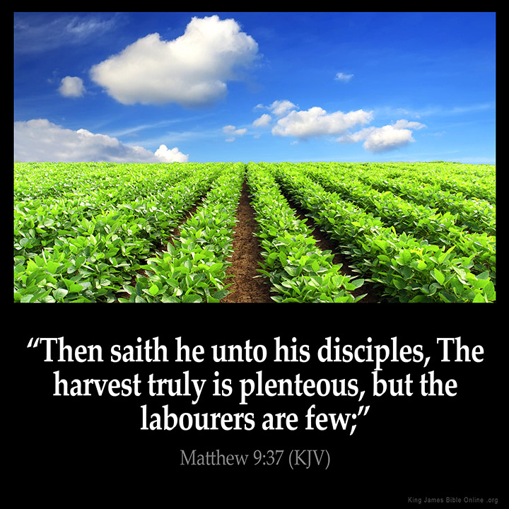 Matthew 9:37 Inspirational Image