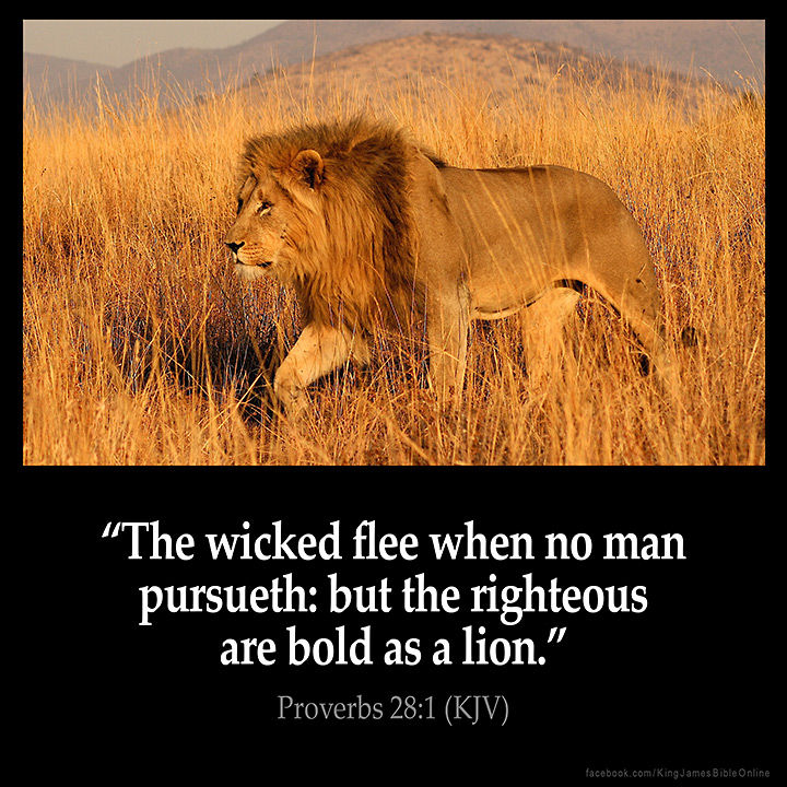 Proverbs 28:1 Inspirational Image