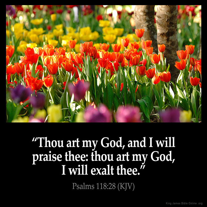 Psalms 118:28 Inspirational Image