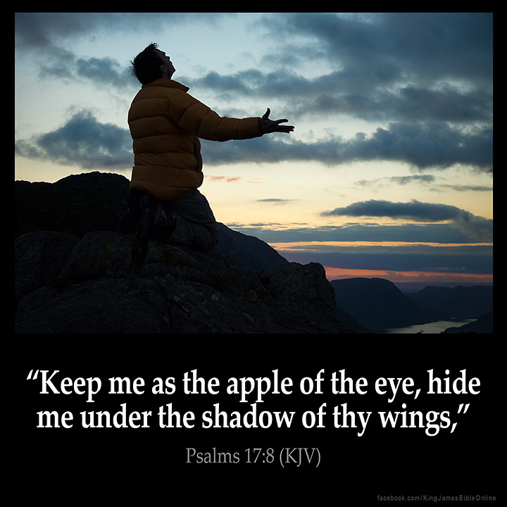 Psalms 17:8 Inspirational Image