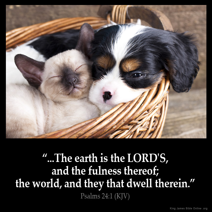 Psalms 24:1 Inspirational Image