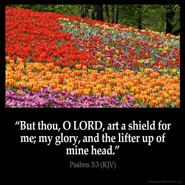 Psalms 3:3 Inspirational Image