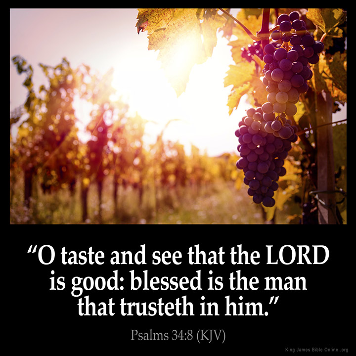 Psalms 34:8 Inspirational Image