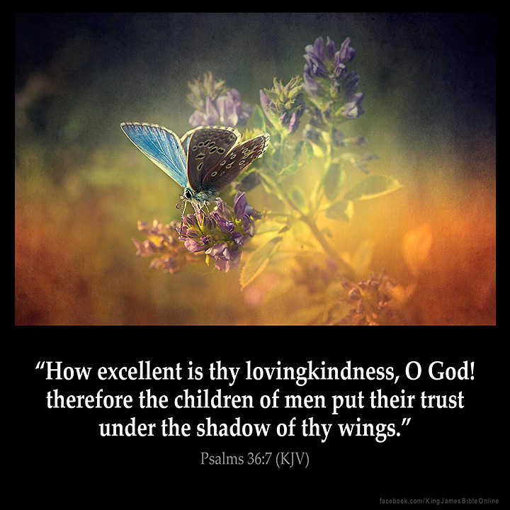 Psalms 36:7 Inspirational Image