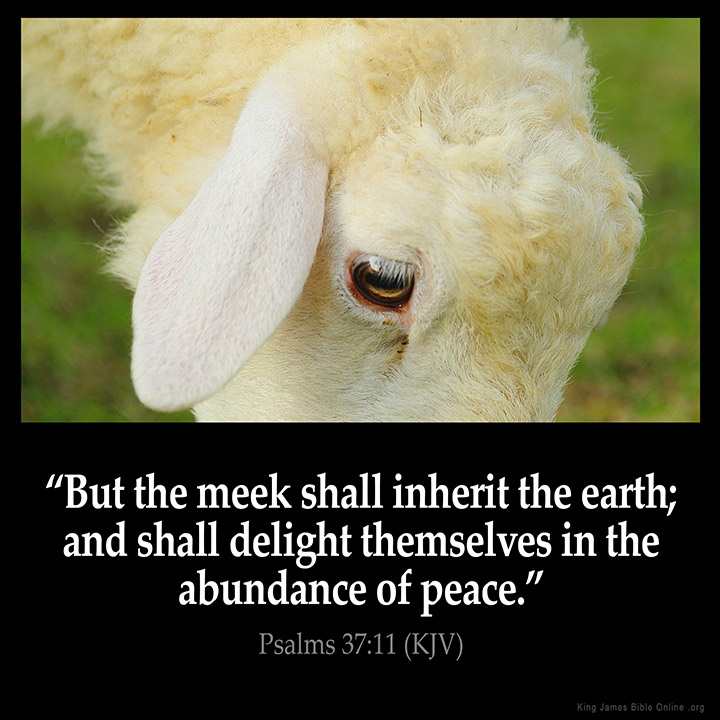 Psalms 37:11 Inspirational Image